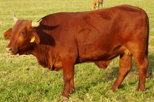 K24 Dr. Proctor