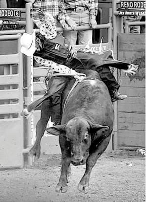 Shane Drury breaking the arena record at the Reno Rodeo